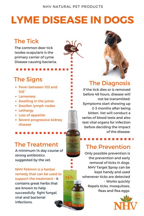 Felimm for Dogs | Lyme disease in dogs, Dog allergies, Lyme