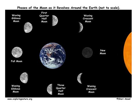 Phases of the Moon Explained