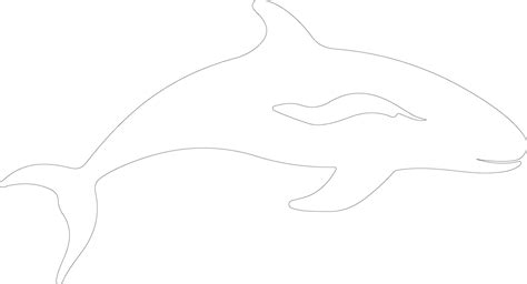 northern right whale outline silhouette 38484541 Vector Art at Vecteezy