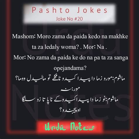 Pin on Pashto Jokes Collection