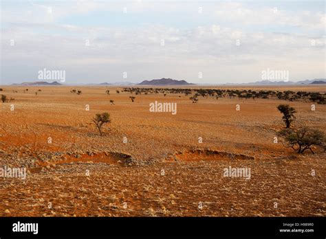 Namib desert landscape, Namibia Stock Photo - Alamy