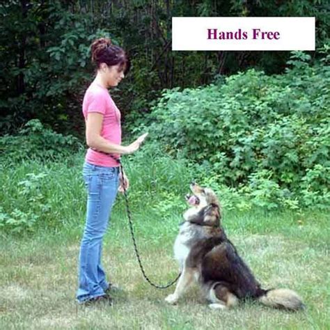 Multi-Purpose Hands Free "Ultra Lead" 5/8", Dogs, Arthritic and ...