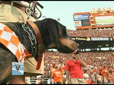 Smokey's Healthy Howl - YouTube