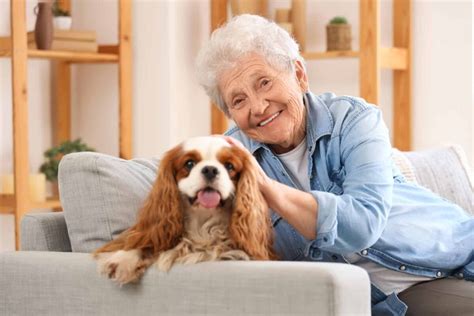 Top 8 Calmest Dog Breeds for Seniors