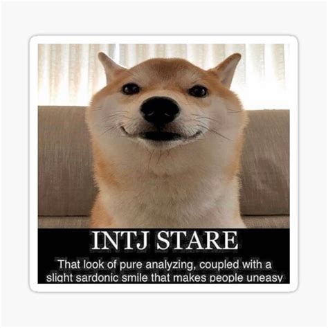 "INTJ Stare" Sticker by Funnydankmemes | Redbubble