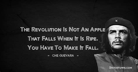 20+ Best Che Guevara Quotes