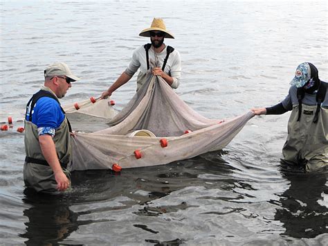 Indian River Lagoon declines trigger alarm – Orlando Sentinel