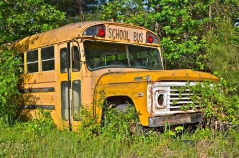 Abandoned School Bus | School bus, Old school bus, Bus