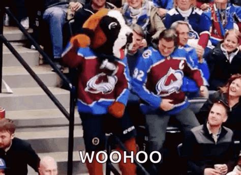 Colorado Avalanche Fans GIF - Colorado Avalanche Fans Avalanche ...