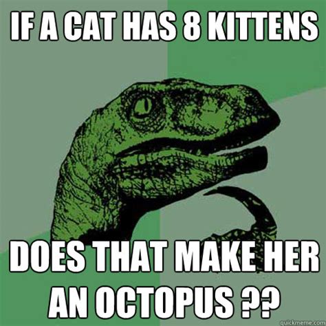 If a cat has 8 kittens Does that make her an octopus ?? - Philosoraptor ...