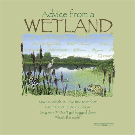 wetland | Quotes, Sayings & Humor | Pinterest