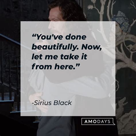 21 Sirius Black’s Quotes: A Tribute to Loyalty, Friendship, and Love