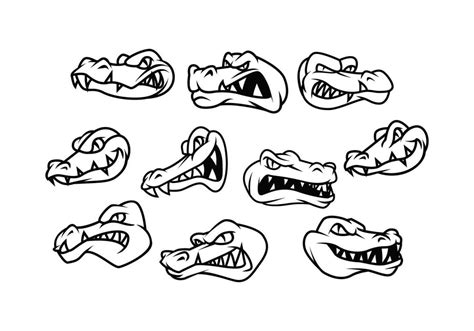 Gator Vector at Vectorified.com | Collection of Gator Vector free for ...