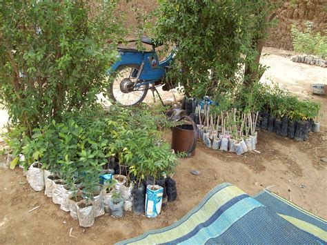 Photo Inspiration From Gardeners in West Africa — Daily Harvest Designs