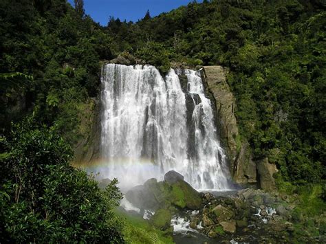 Waterfalls in New Zealand | Where to Go | How to Reach There