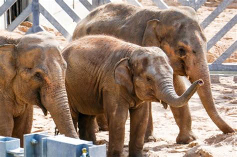 Review: A day out at Blackpool Zoo with our two children - The Family Holiday Guide