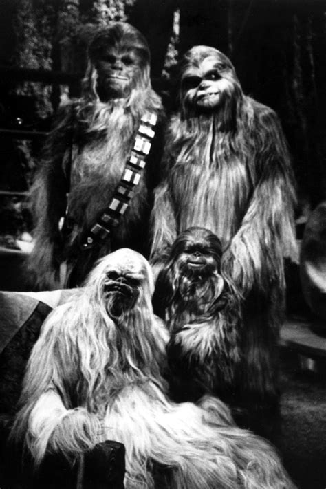 Wondering about Wookiees: Untold secrets of the galaxy's hairiest species | Star wars holiday ...