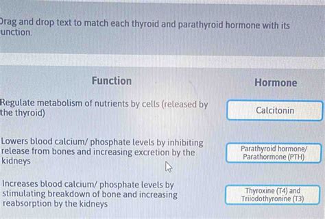 Solved: Drag and drop text to match each thyroid and parathyroid hormone with its unction ...