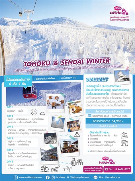 Tohoku & Sendai Winter | World Surprise Travel