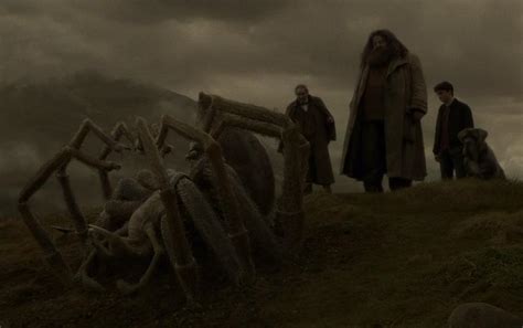 ¿Por qué Aragog es repentinamente más pequeño en Half-Blood Prince?