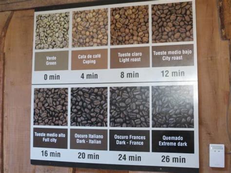 coffee roast chart