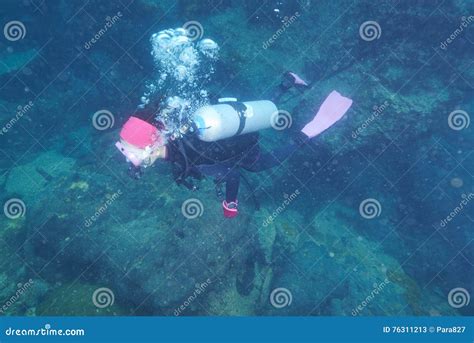 Divers and coral reef stock image. Image of snorkel, nature - 76311213