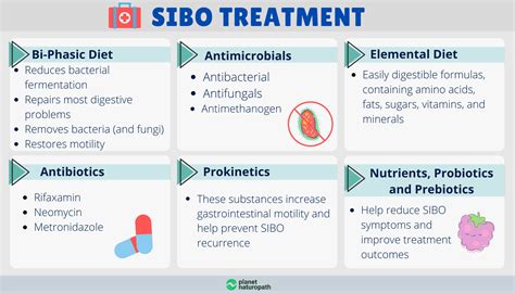 SIBO Guide (to Help You Eliminate IBS) - Planet Naturopath