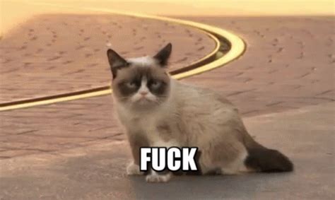 Grumpy GIF - Grumpy - Discover & Share GIFs