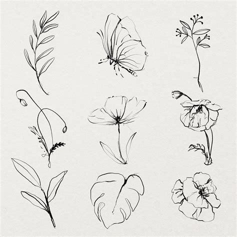 Flower Line Vectors | Free Illustrations, Drawings, PNG Clip Art, & Backgrounds Images - rawpixel