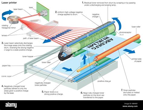 Diagram of the operating process of a laser printer Stock Photo - Alamy