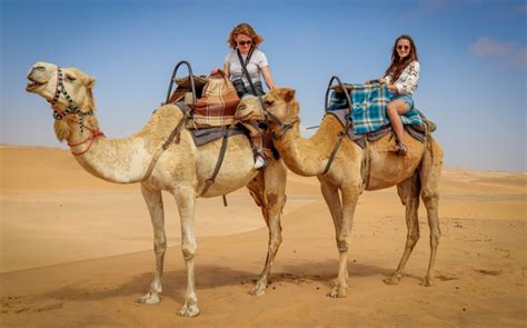 Jaisalmer Desert Safari Tour | Desert Camp Package Lowest Price - Apple Ramble