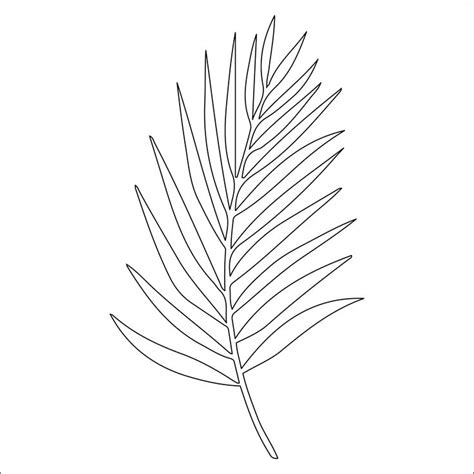 Palm Leaf Template To Print | Leaf template printable, Leaf template, Palm leaves