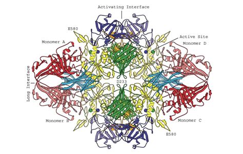 | SMS_Shenzhen - iGEM 2022