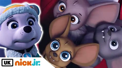 PAW Patrol | Pups Save a Bat Family | Nick Jr. UK - YouTube