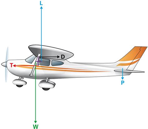 Straight and level flight is your second flight lesson