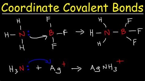 Coordinate Covalent Bond Examples Lewis Structure | Free Nude Porn Photos