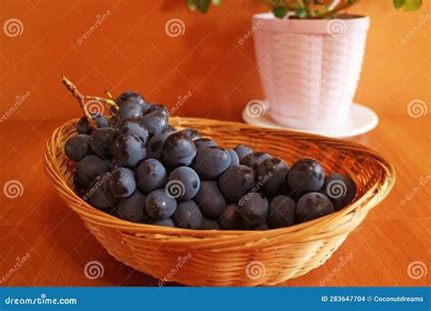 Basket of Blue Grapes with a White Planter of a Houseplant on Wooden ...