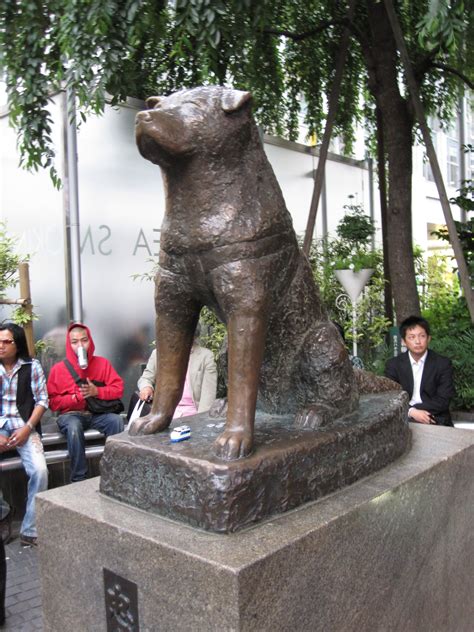 Another view of the Hachiko statue at the entrance to JR (Japan Railways) Shibuya Station...a ...