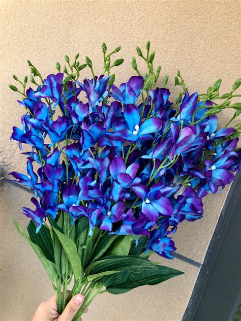 Galaxy Orchids,purple Blue Galaxy Orchid BLOOMS, Stems, Blue Island ...