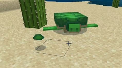 Turtle shells in Minecraft: Everything you need to know