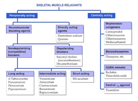 Classification of Skeletal Muscle Relaxants - Pharmacy Freak