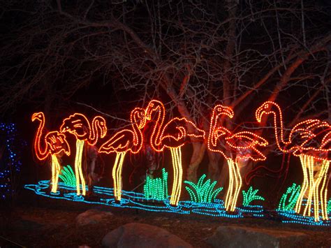 Seale Family: Denver Zoo Lights