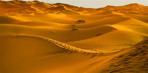 science - geography - geology - desert - sand dunes Sandboarding, Desert Sand, Geology, Dune ...