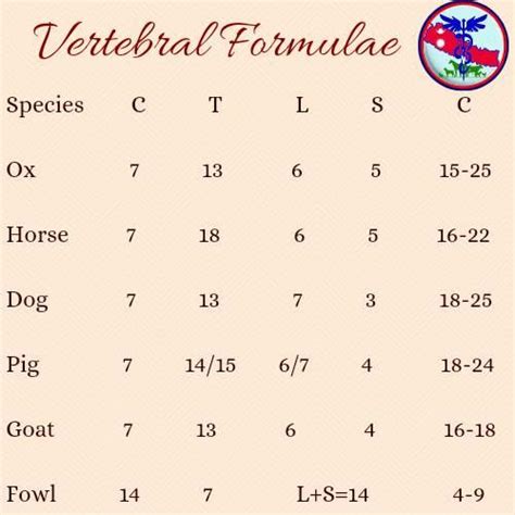 Vertebral Formula of... - Nepal Veterinary Education | Facebook