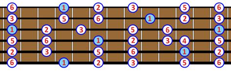 The Major Pentatonic Scale Notes and 5 Positions