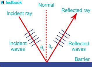 Reflection of Sound: Laws, Examples, Applications Explained