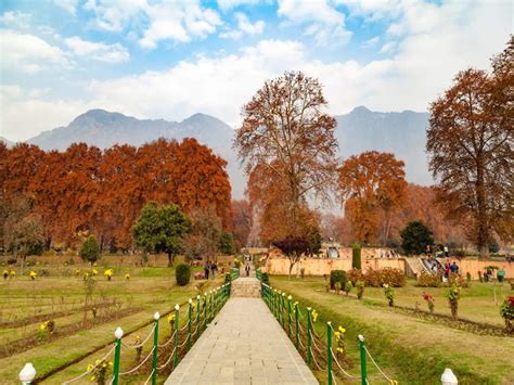 Mughal Gardens in Kashmir are on UNESCO’s Tentative List, and here’s ...