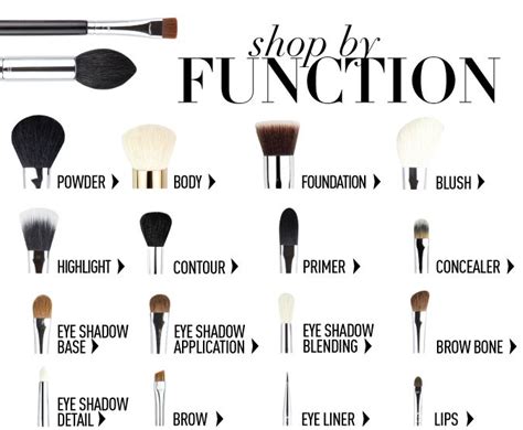 Makeup Brushes and Their Functions | Makeup brushes guide, Makeup ...