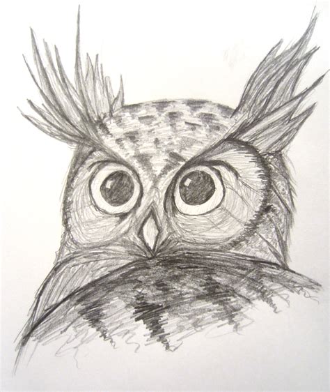 Great Horned Owl Drawing Easy