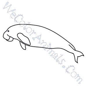 Dugong Coloring Pages